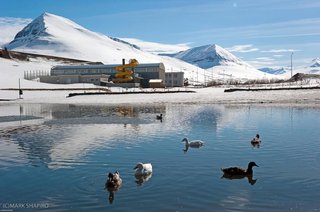 The Northern Comfort Inn Olafsfjordur ภายนอก รูปภาพ